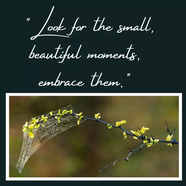 Blog-Pic-From-the-Stoep-beautiful-moments_png