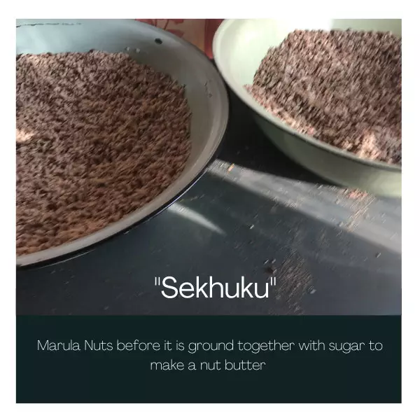 Blog-Pic-It-starts-with-a-Flower-_Sekhuku_