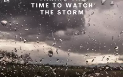 Taking the time to watch the storm.