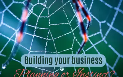 Building your business: Planning of Instinct?