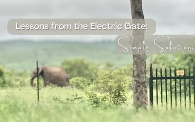 Lessons from the Electric Gate