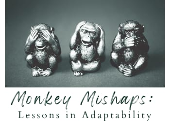 Monkey Mishaps: Lessons in Adaptability